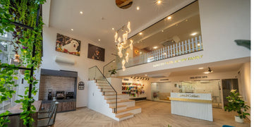 THE PET HOTEL