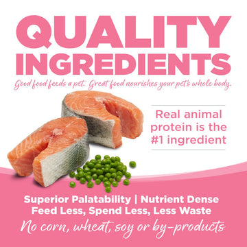 Salmon and Peas Grain Free Dry Food For Dogs