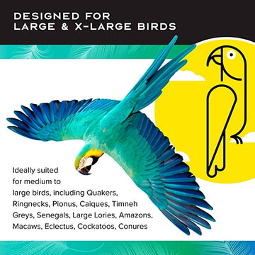Foraging Wheel Bird Toy