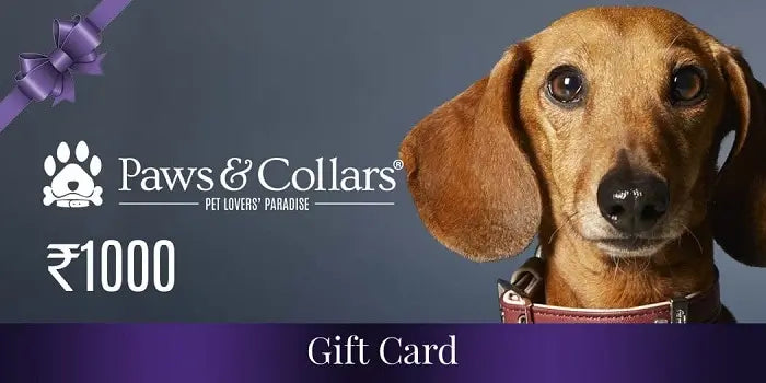 A Gift For You Gift Card PawsnCollars