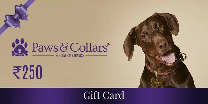A Gift For You Gift Card PawsnCollars