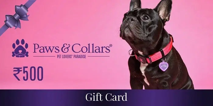 A Gift For You Gift Card PawsnCollars