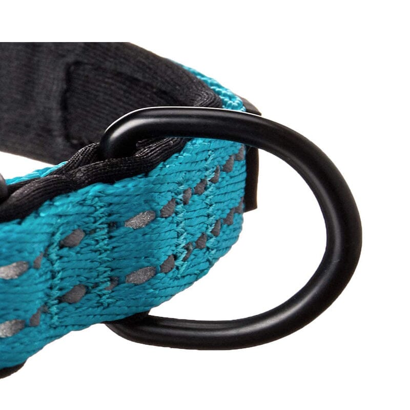 Alcott Adventure Dog Nylon Collars with Strong sturdy buckles are strength tested and proven to last!