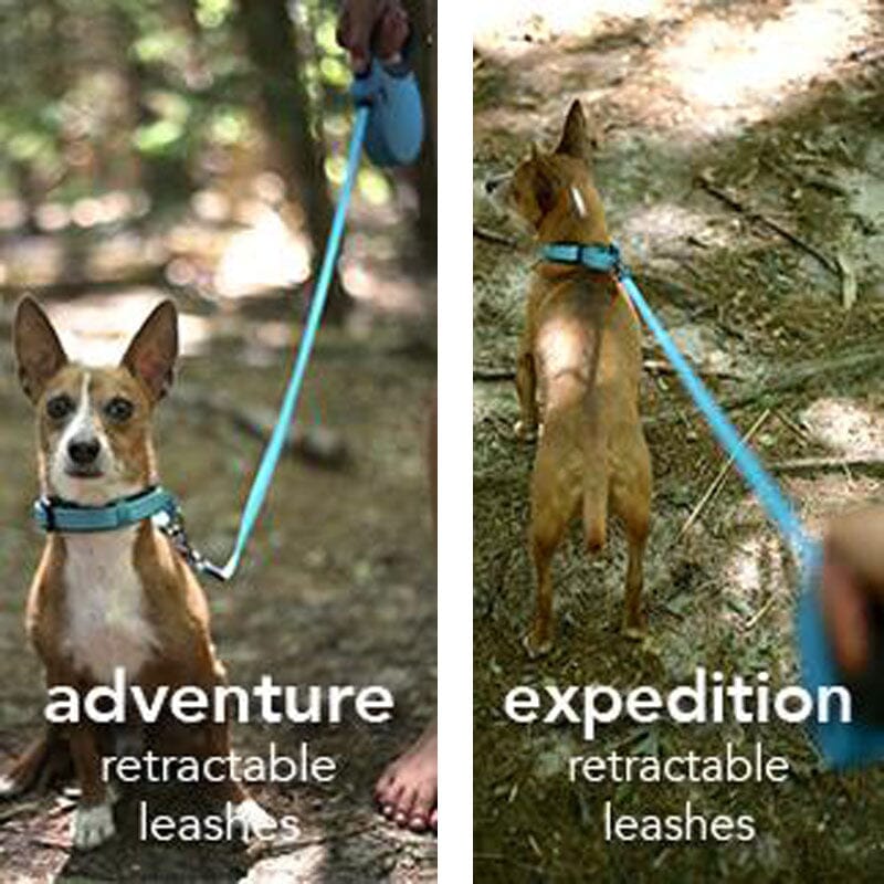 Alcott Adventure Retractable Leash Designed to Match Alcott Adventure Collars.