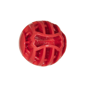 Ball Dog Toy