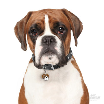 Boxer Dog Pet Id Name Tag