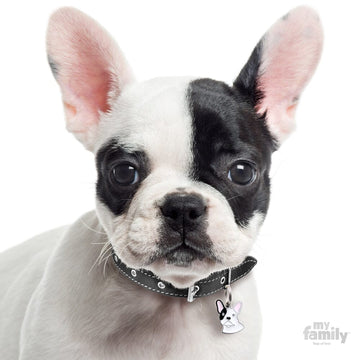Bull Dog Pet Id Name Tag