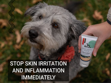 DermaSkin For Cats & Dogs - For Rash, Scaly Skin & Blisters Pet Supplies Gou Gou Pets