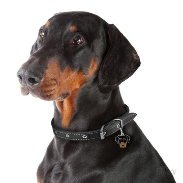 Dobermann Dog Name Tag