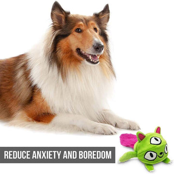 Hyper Pet Doggie Pal-Monster interactive dog toy encourages fun playtime for large and small dogs of all life stages of life.
