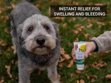 First Aid Ointment For Cats & Dogs - For Minor Cuts, Bleeding & Bruises Pet Supplies Gou Gou Pets