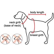 FootBall T-Shirt For Dogs