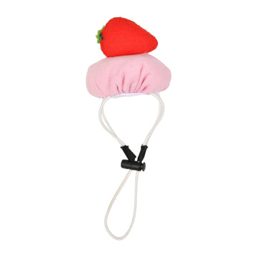 Accessories For Dogs