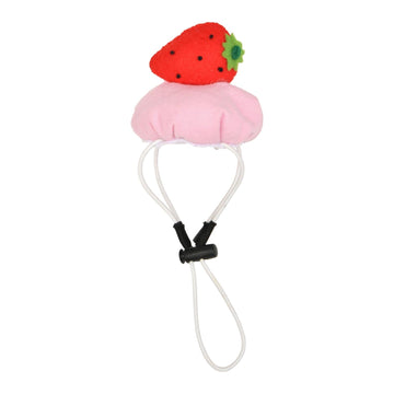 Accessories For Dogs