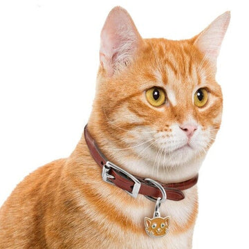 Ginger Cat Name ID Tag