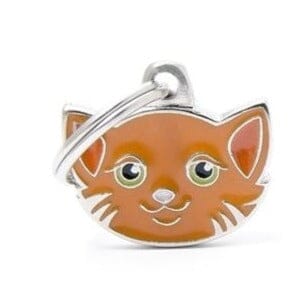 Ginger Cat Name ID Tag