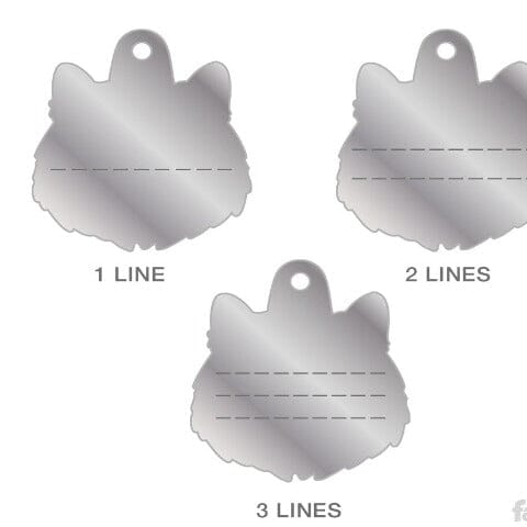 Persian Cat Name ID Tags for Red Cat available with personal customization with 3 lines on back at PawsnCollars.com.