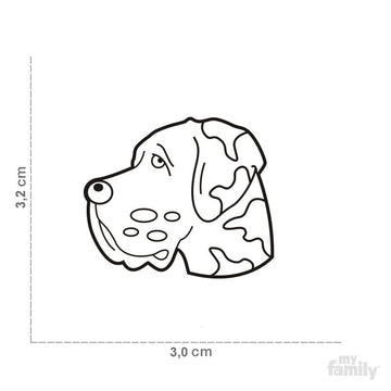 Harlequin Great Dane Dog Name ID Tag