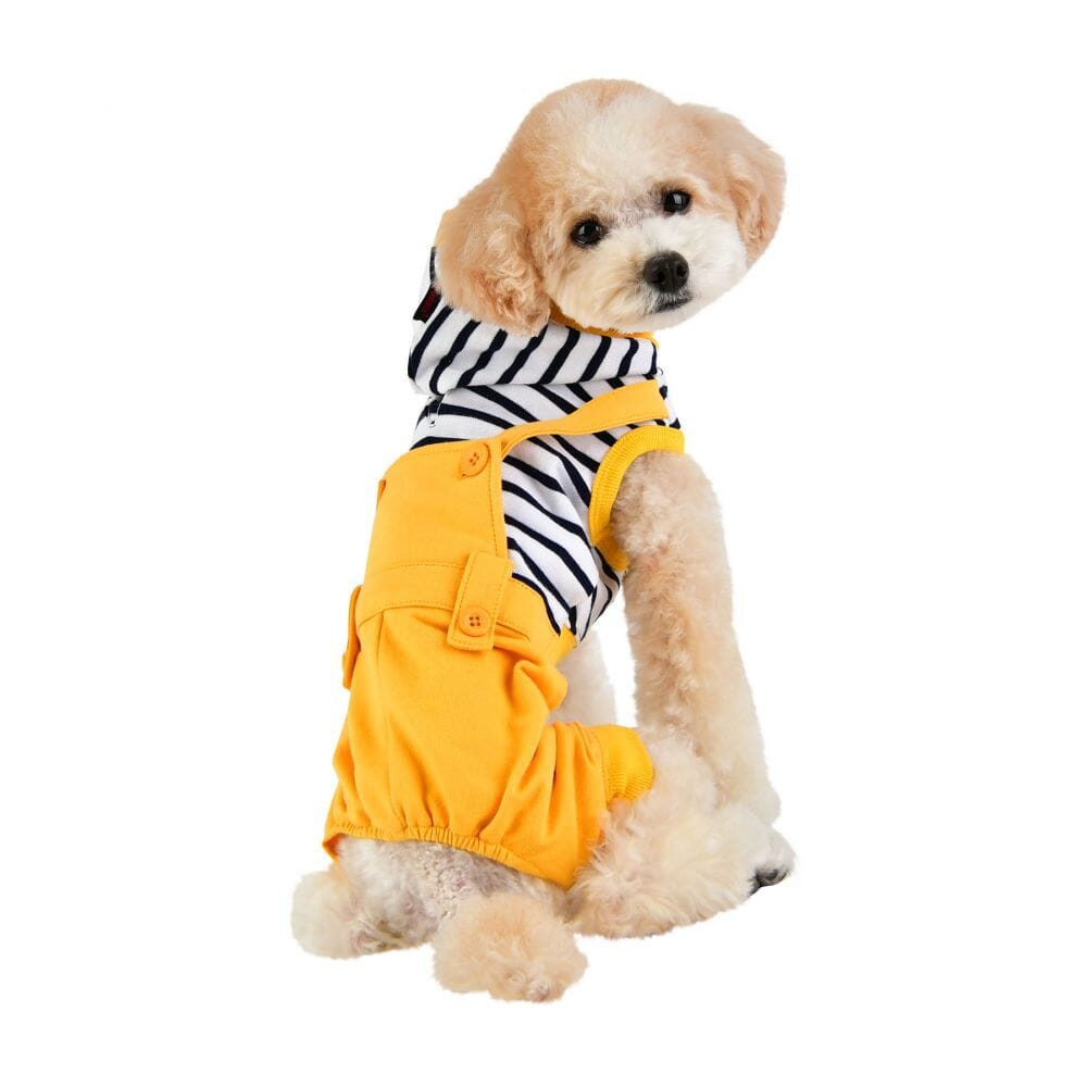 Jersey with Hoodie For Dogs