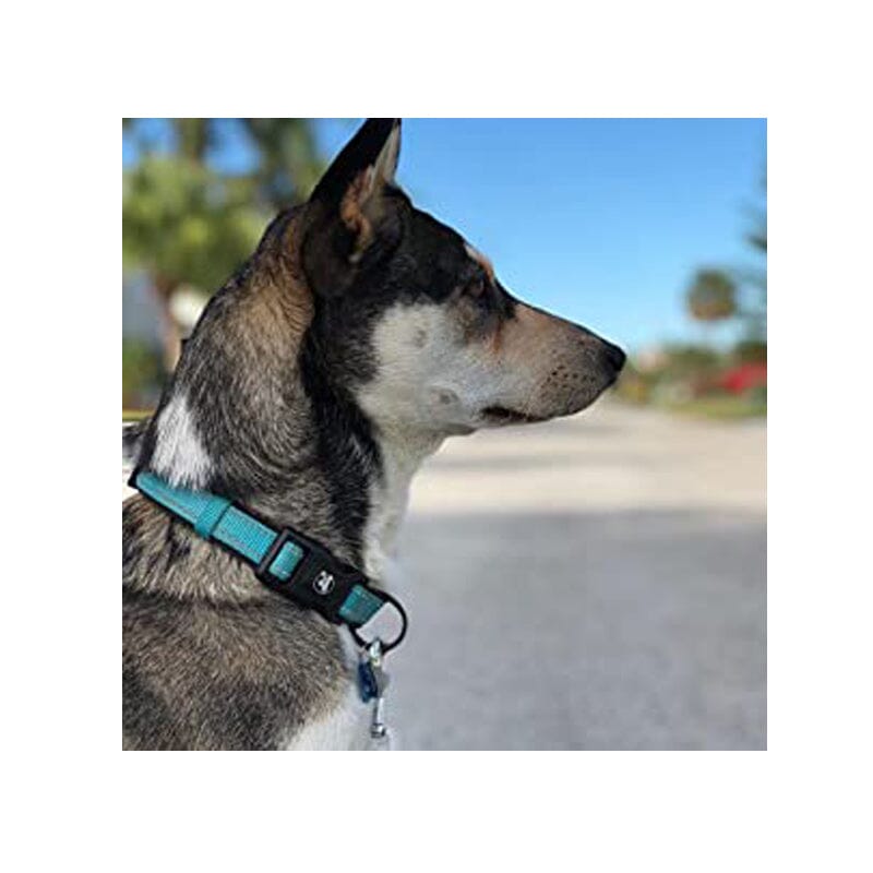 Alcott Martingale Dog collars are perfect solution for your escape artists(excited dogs).Used as anti-escape collar for dogs.