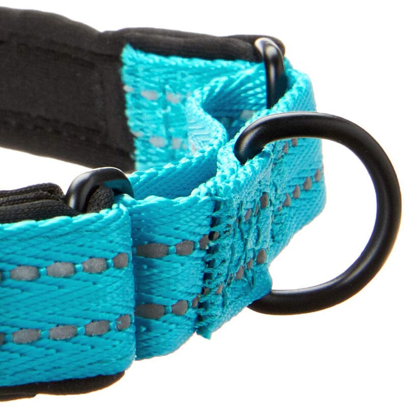 Alcott Martingale Dog collars has Metal d-ring (for leashes).