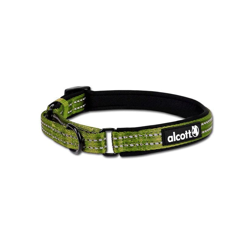 Alcott Martingale collar looks great and recommended by many top trainers for obedience training of dogs.