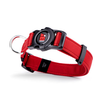 Memopet Dog Collar With Activity Tracking Device and Digital ID Pet Supplies My Family Small Red