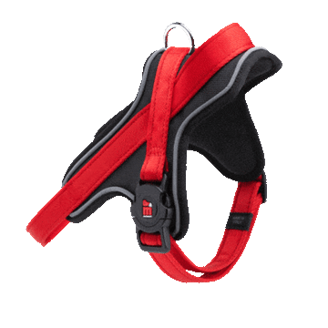 Memopet Dog Harness With Activity Tracking Device and Digital ID Pet Supplies My Family