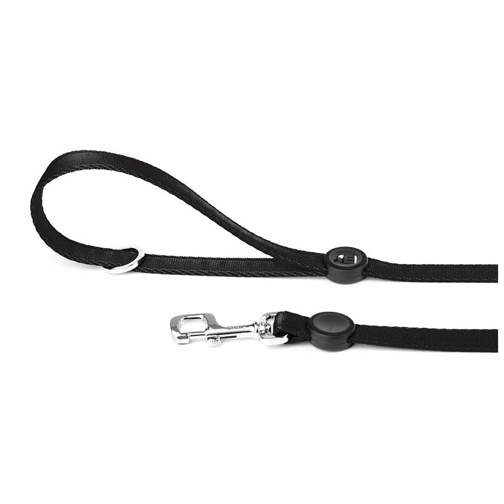 Memopet Dog Leash With Activity Tracking Device and Digital ID Pet Supplies My Family Small Black 