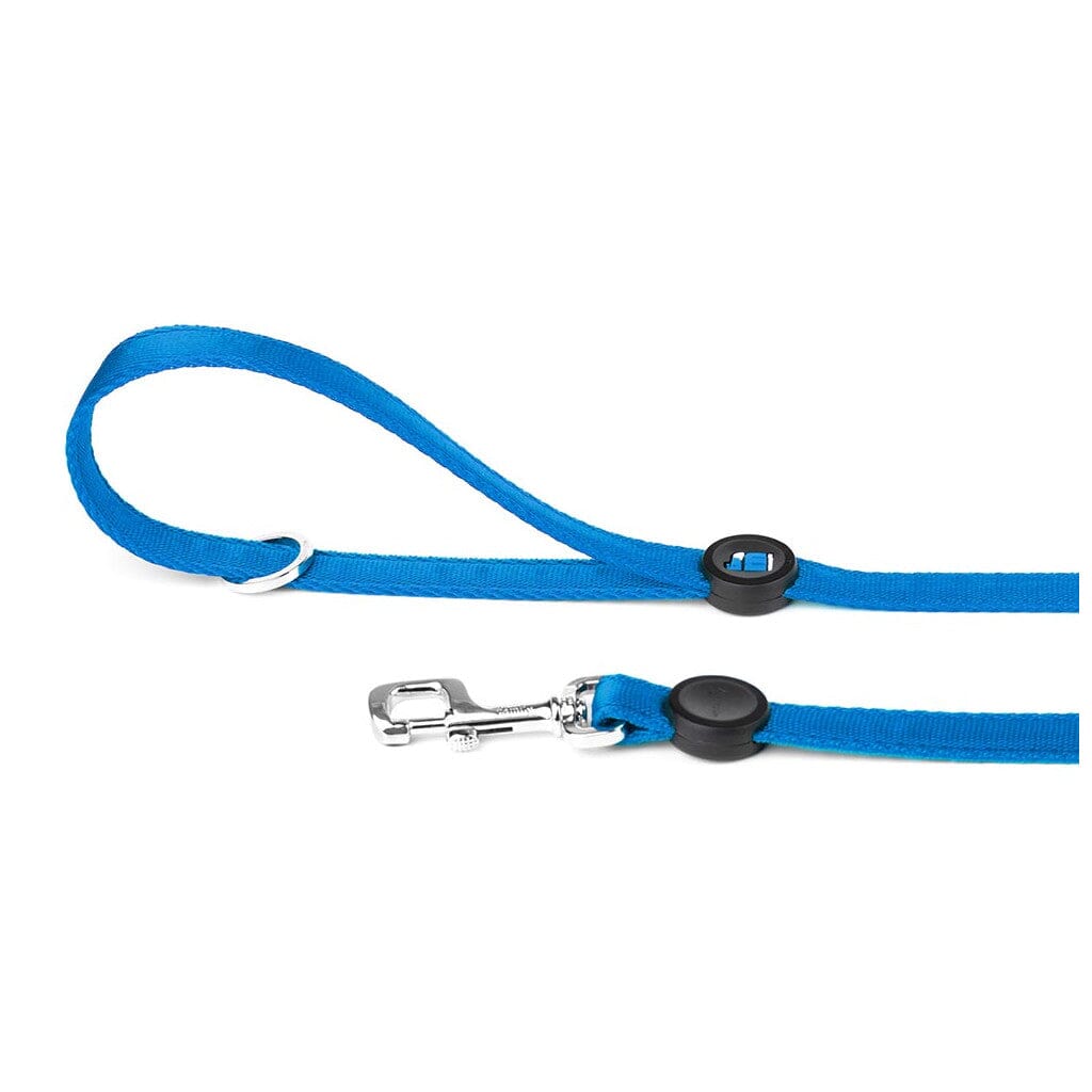 Memopet Dog Leash With Activity Tracking Device and Digital ID Pet Supplies My Family Small Blue 