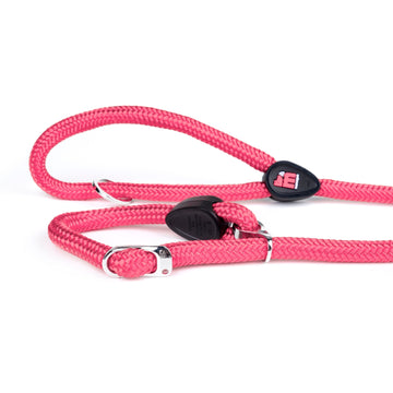 Memopet Dog Training Collar and Rope Leash 2in1 With Activity Tracking Device and Digital ID Pet Supplies My Family Medium Pink