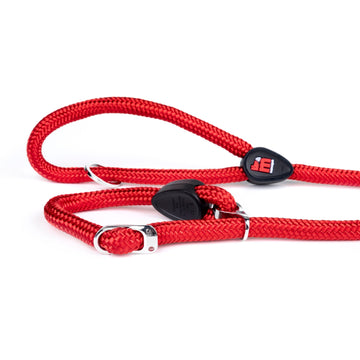 Memopet Dog Training Collar and Rope Leash 2in1 With Activity Tracking Device and Digital ID Pet Supplies My Family Medium Red