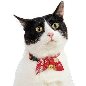 Ribbon Red Collar For Cats