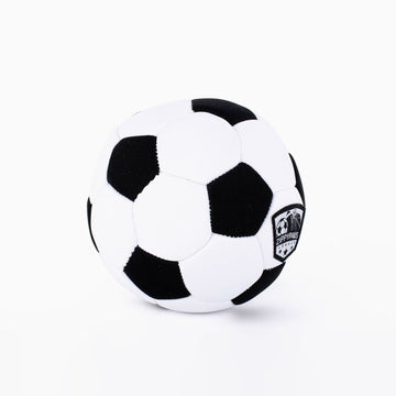 Soccer Squeaky Dog Toy