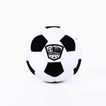 Soccer Squeaky Dog Toy