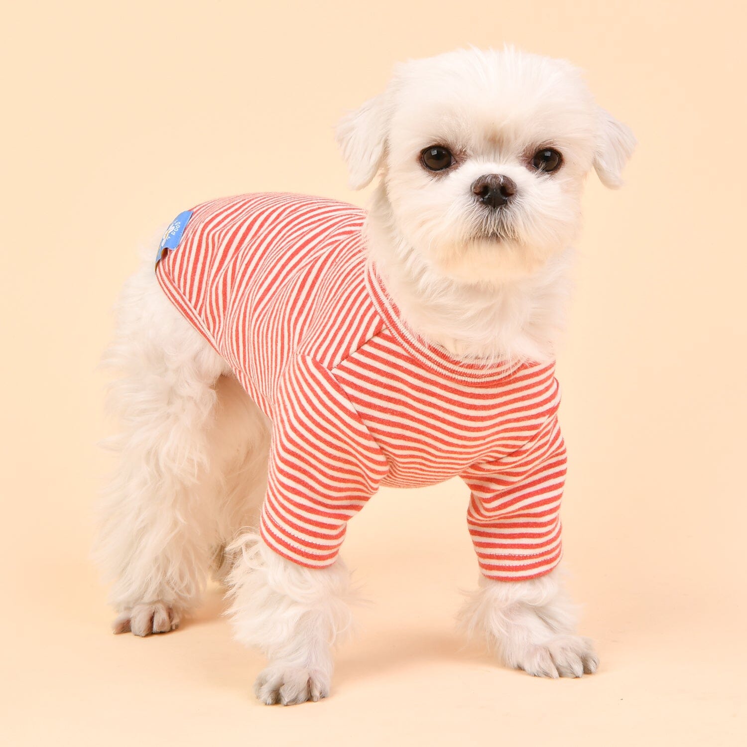 Striped T-Shirt For Dogs