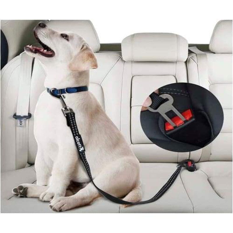 Dog seat belt outlet adapter