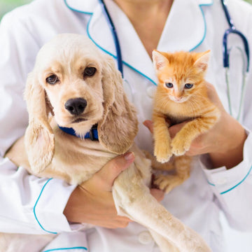 Veterinary Puppy & Kitten Package