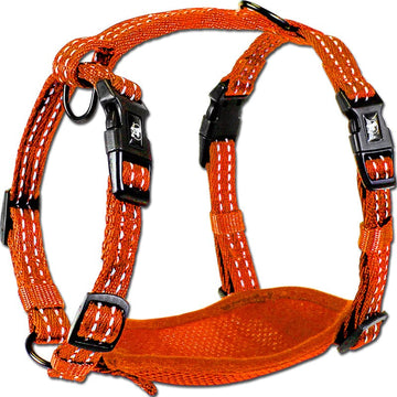 Visibility Harness with Reflective Accents