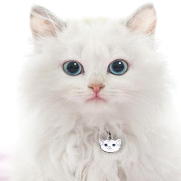 White Cat Name ID Tag