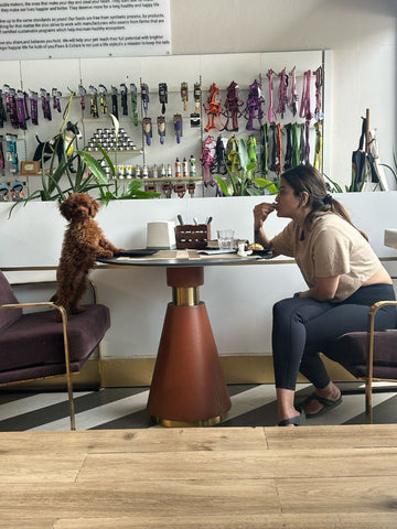 Would you choose brunch with your dog over brunch with friends?