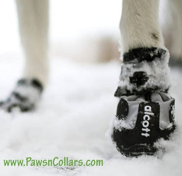 PawsnCollars.com turns your dogs walk into adventure. Buy Now Adventure Boots for Dogs.