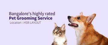 Pet Grooming - Luxury Spa Services