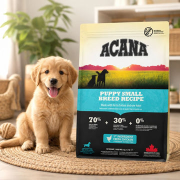 ACANA Puppy Small Breed Recipe – Chicken & Hake Dry Dog Food