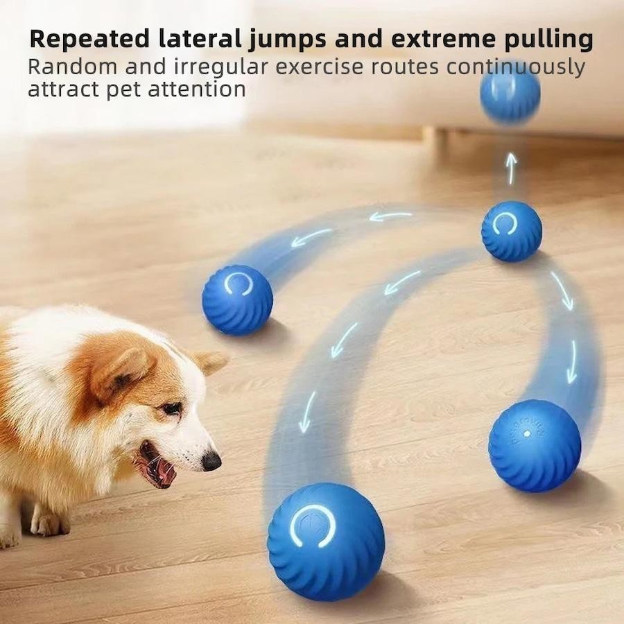 Dog playing with a toy on a wooden floor, with text about exercise and pet attention.