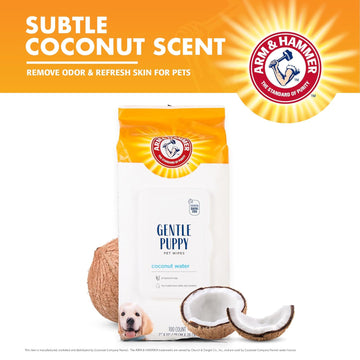 Arm & Hammer Odor Control Gentle Puppy Pet Wipes