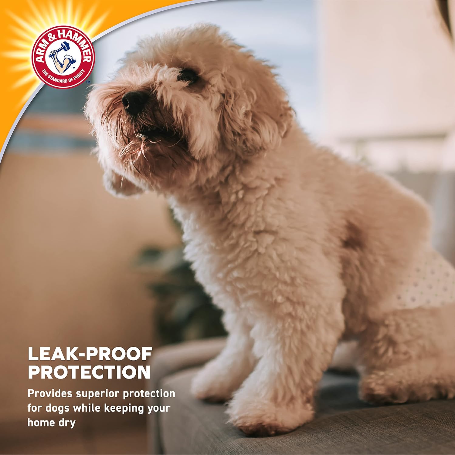 Arm & Hammer Disposable Male Dog Wraps7