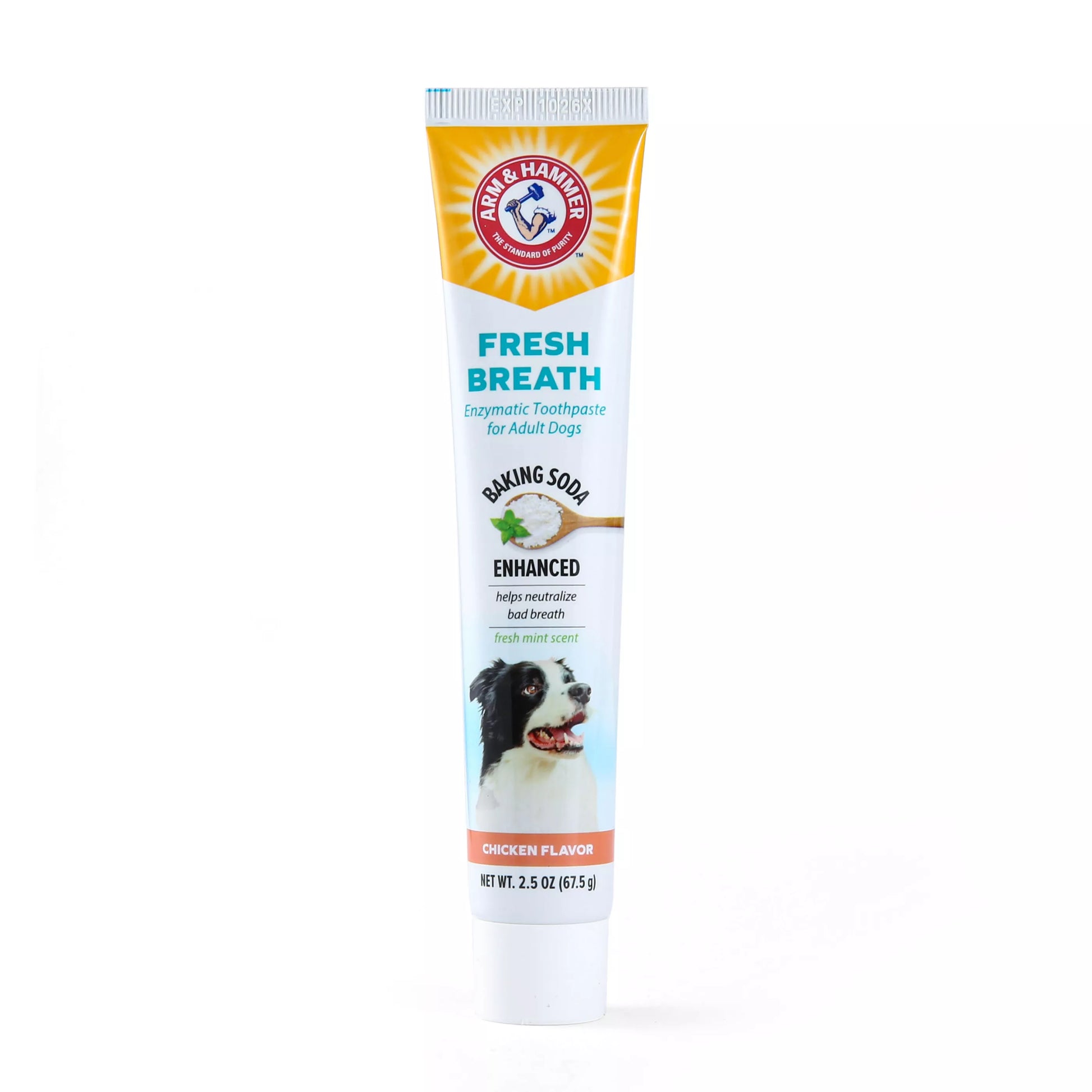 Arm & Hammer Fresh Breath Chicken Flavored Enzymatic Dog Toothpaste-2.5 oz2