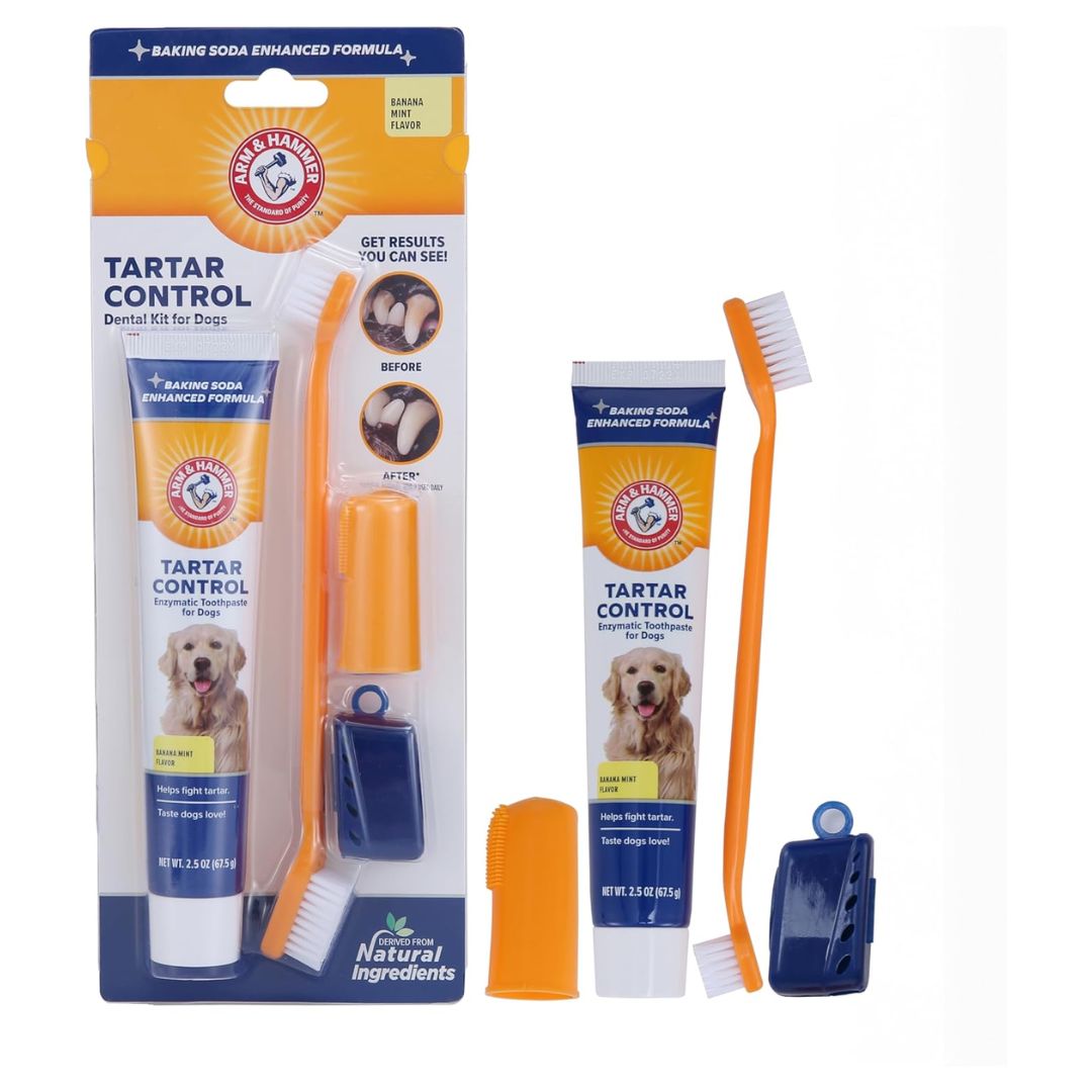 Arm & Hammer Products Tartar Control Banana Mint Flavored Enzymatic Dog Dental Kit