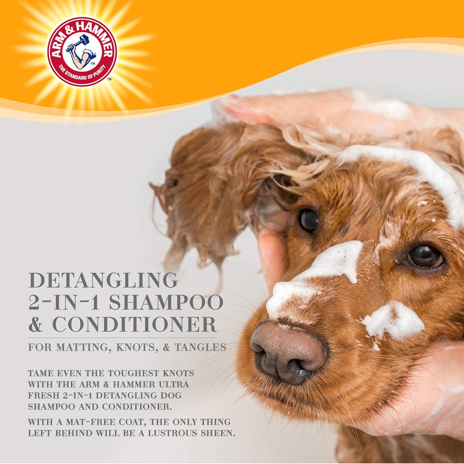 Arm & Hammer Ultra Fresh 2-in-1 Detangling Pet Shampoo and Conditioner for Dogs4